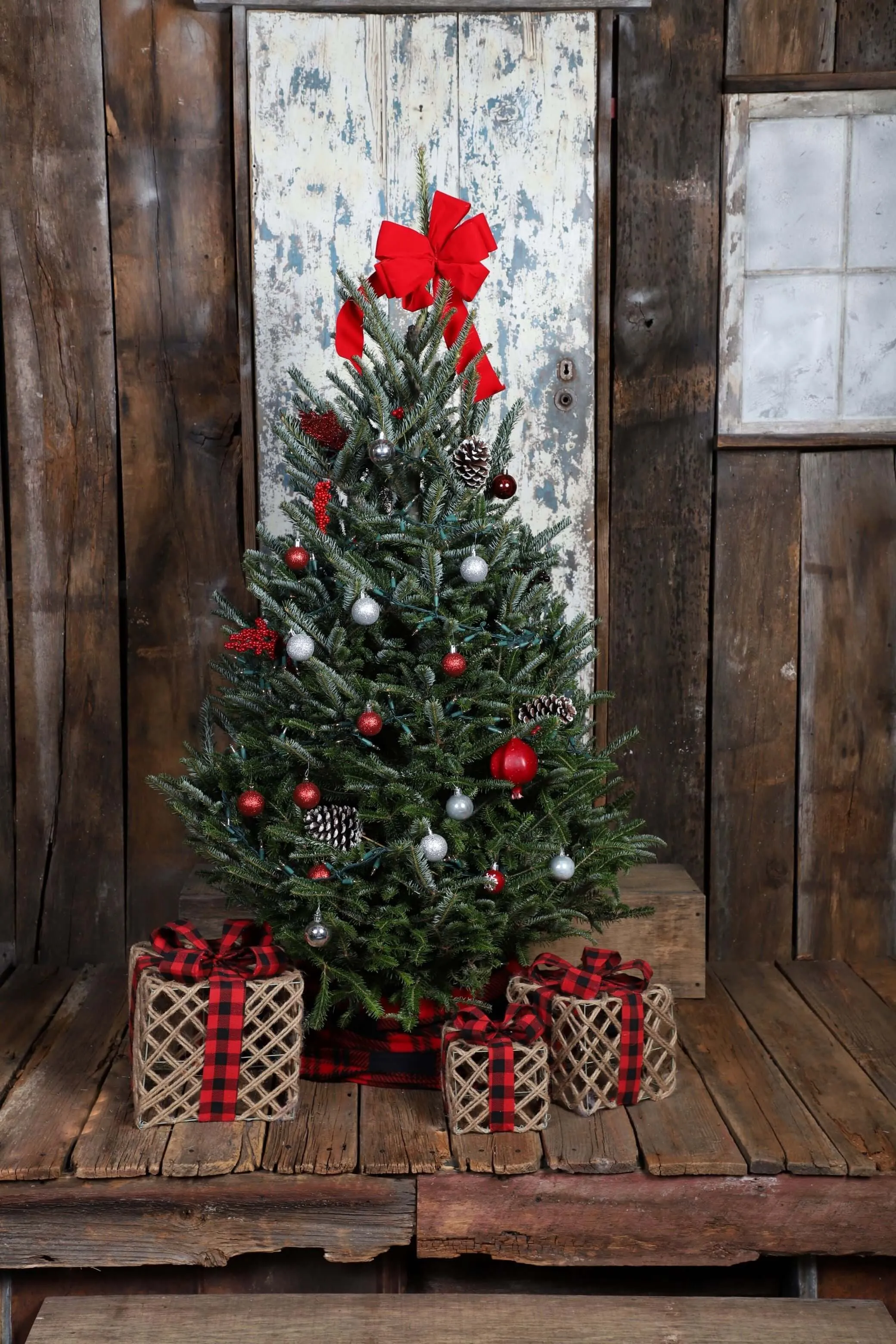 Fresh-Cut Premium-Grade Fraser Fir Christmas Tree